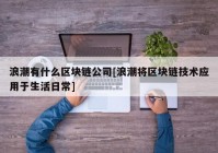 浪潮有什么区块链公司[浪潮将区块链技术应用于生活日常]